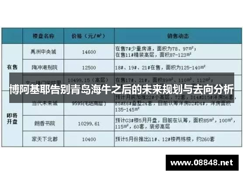 博阿基耶告别青岛海牛之后的未来规划与去向分析